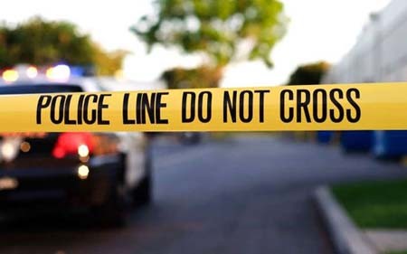 اخبار , اخبار گوناگون,آشنایی با شغل های عجیب,شغل های عجیب دنیا