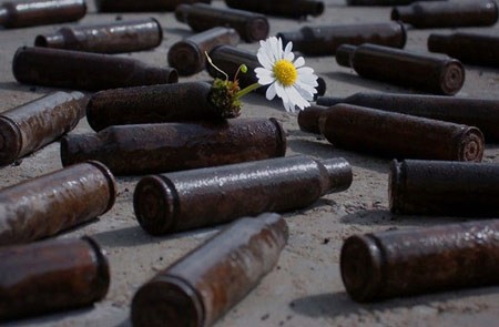 اخبار , اخبار گوناگون,رشد گیاهان در مناطق سرسخت,مناظر جالب و دیدنی