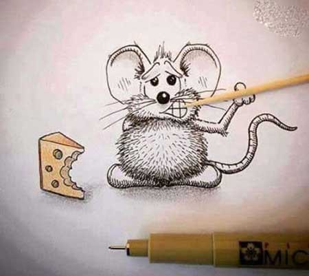 عکسهای هنرِ موشی