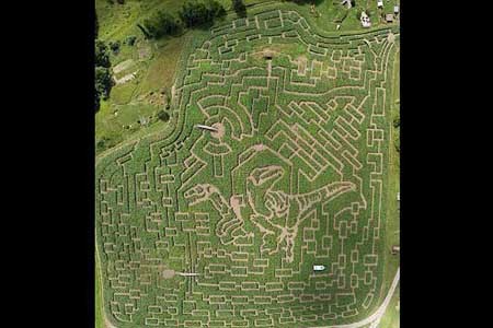 زیباترین باغ ها,باغ های پیچ در پیچ