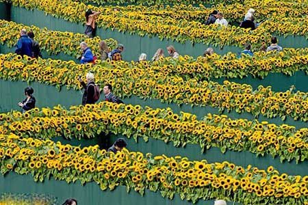 زیباترین باغ ها,باغ های پیچ در پیچ