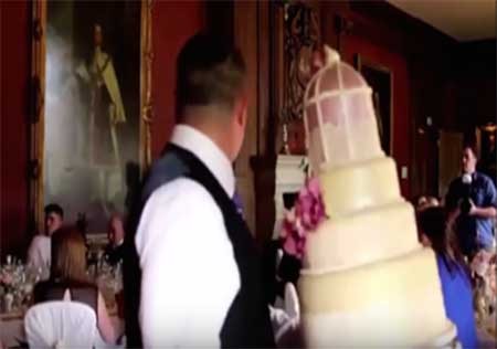 ترساندن عروس در وسط جشن ترساندن عروس در وسط جشن