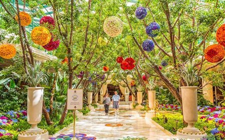 اخبار , اخبار گوناگون, هتل های زیبا