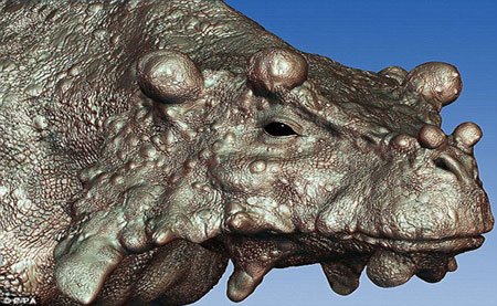 اخبار , اخبار گوناگون, فسیل زشت ترین گاو