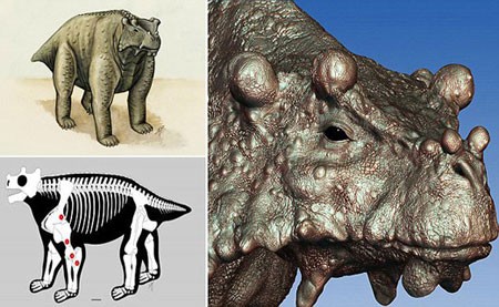 اخبار , اخبار گوناگون, فسیل زشت ترین گاو