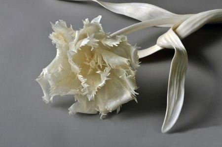 اخبار,اخبار گوناگون,ساخت مجسمه با استخوان