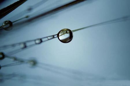 اخبار,اخبار گوناگون,قطرات آب اخبار,اخبار گوناگون,قطرات آب