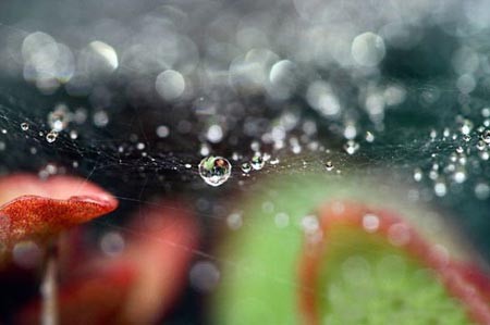 اخبار,اخبار گوناگون,قطرات آب اخبار,اخبار گوناگون,قطرات آب