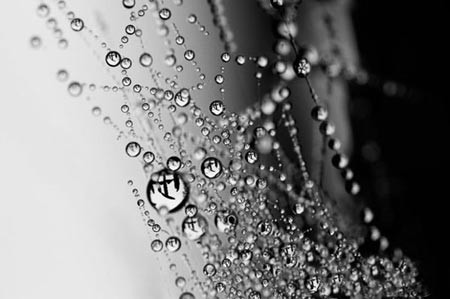 اخبار,اخبار گوناگون,قطرات آب اخبار,اخبار گوناگون,قطرات آب