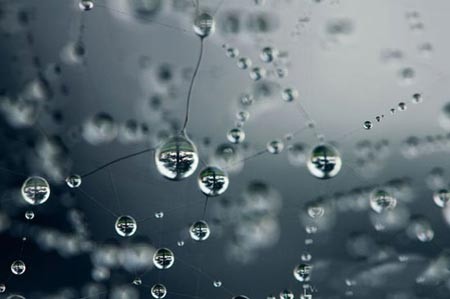 اخبار,اخبار گوناگون,قطرات آب اخبار,اخبار گوناگون,قطرات آب