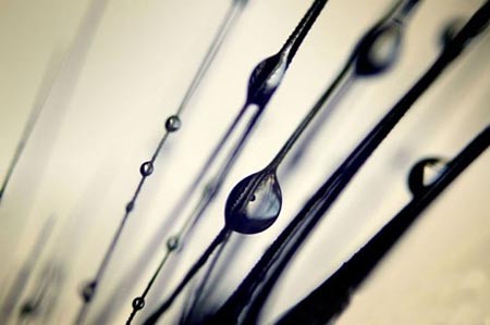 اخبار,اخبار گوناگون,قطرات آب اخبار,اخبار گوناگون,قطرات آب