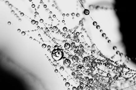 اخبار,اخبار گوناگون,قطرات آب اخبار,اخبار گوناگون,قطرات آب