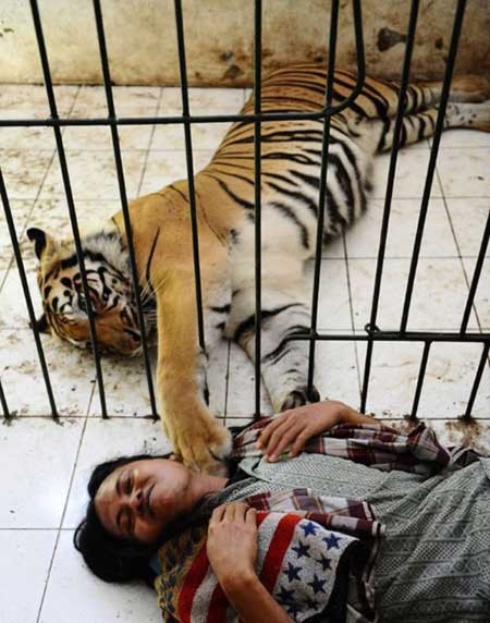 اخبار,اخبار گوناگون ,دوستی انسان و ببر