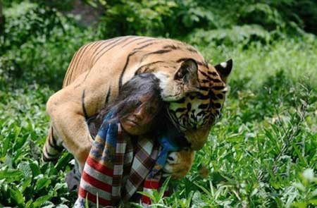 اخبار,اخبار گوناگون ,دوستی انسان و ببر