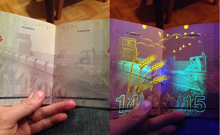 اخبار,اخبار گوناگون ,منحصر به فرد ترین گذرنامه جهان