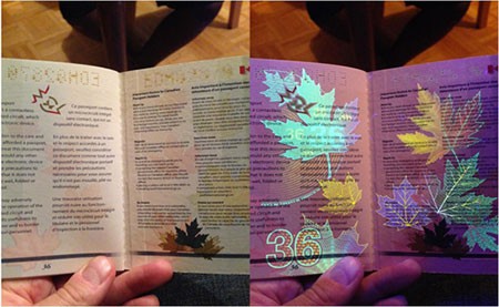 اخبار,اخبار گوناگون ,منحصر به فرد ترین گذرنامه جهان