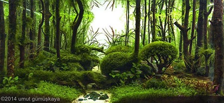 اخبار,اخبار گوناگون ,آکواریوم های زیبا