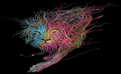 اخبار,اخبارگوناگون ,ابتکاری جالب در نقاشی با سیم