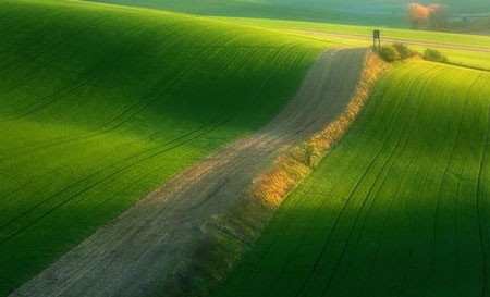 اخبار,اخبار گوناگون ,دشت بی نظیر در قلب اروپا