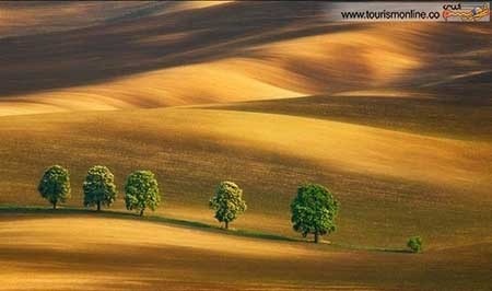 اخبار,اخبار گوناگون ,دشت بی نظیر در قلب اروپا