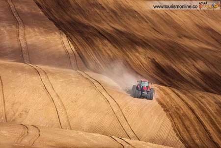 اخبار,اخبار گوناگون ,دشت بی نظیر در قلب اروپا