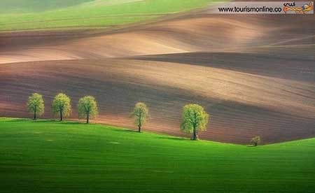 اخبار,اخبار گوناگون ,دشت بی نظیر در قلب اروپا