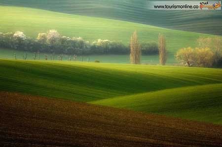 اخبار,اخبار گوناگون ,دشت بی نظیر در قلب اروپا