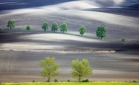 اخبار,اخبار گوناگون ,دشت بی نظیر در قلب اروپا
