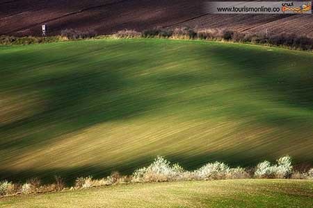 اخبار,اخبار گوناگون ,دشت بی نظیر در قلب اروپا