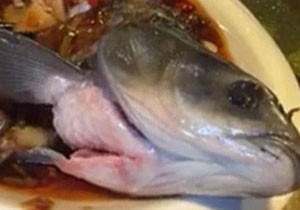 این ماهی پس از سرخ شدن زنده شد! + تصاویر 