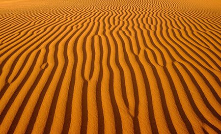 اخبار,اخبار گوناگون,مسابقه عکاسی نشنال ژئوگرافیک