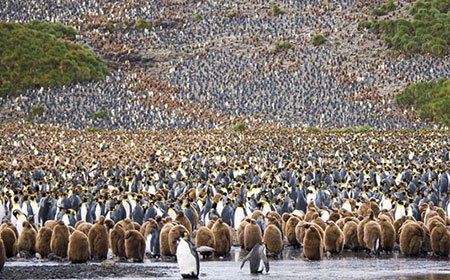 اخبار,اخبار گوناگون,مسابقه عکاسی نشنال ژئوگرافیک