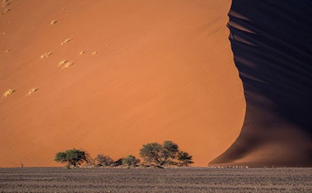 اخبار,اخبار گوناگون,مسابقه عکاسی نشنال ژئوگرافیک