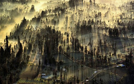 اخبار,اخبار گوناگون,مسابقه عکاسی نشنال ژئوگرافیک