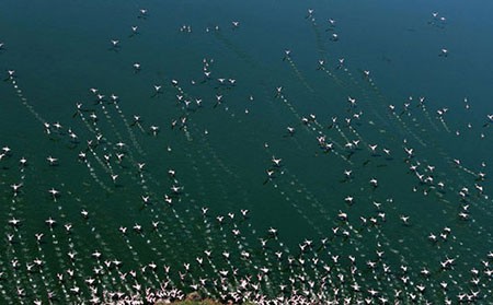 اخبار,اخبار گوناگون,مسابقه عکاسی نشنال ژئوگرافیک