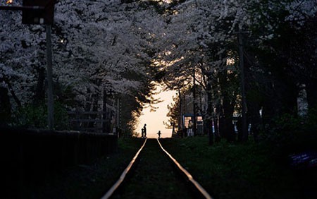 اخبار,اخبار گوناگون,مسابقه عکاسی نشنال ژئوگرافیک