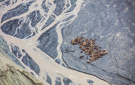 اخبار,اخبار گوناگون,مسابقه عکاسی نشنال ژئوگرافیک