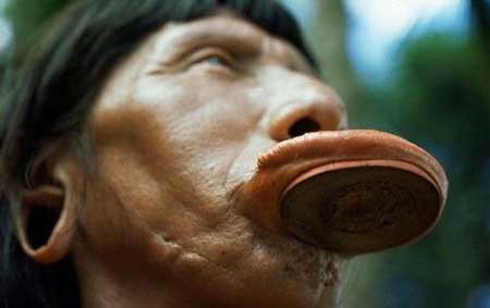 اخبار , اخبار گوناگون, لب بشقابی