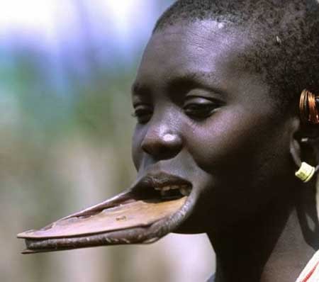 اخبار , اخبار گوناگون, لب بشقابی