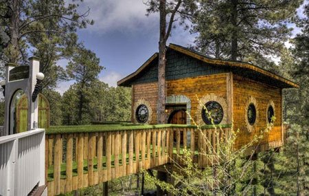 اخبار , اخبار گوناگون , خانه درختی