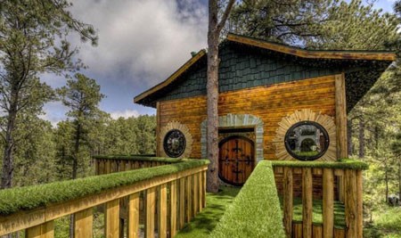 اخبار , اخبار گوناگون , خانه درختی