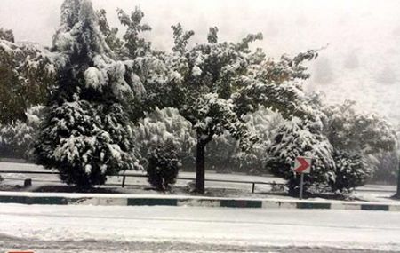 اخبار,اخبار امروز,اخبار جدید