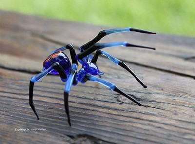 اخبار,اخبار گوناگون,حشرات زیبای شیشه ای