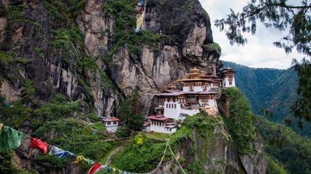 اخبار,اخبار گوناگون,زیباترین لانه ببر دنیا