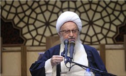 پاسخ فرزند آیتالله مکارم به سخنان سخنگوی ارشاد: وزیر ارشاد درخواست ملاقات نداد/ اگر درخواست هم میدادند نمیپذیرفتیم