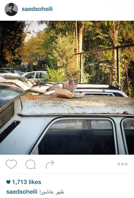 اخبار,اخبار فرهنگی ,عکس جدید بازیگران 