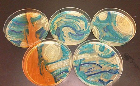 اخبار,اخبار گوناگون, میکروبیولوژیست