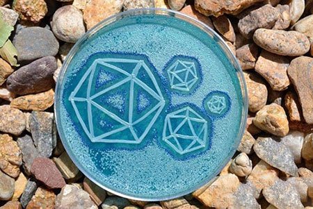 اخبار,اخبار گوناگون, میکروبیولوژیست