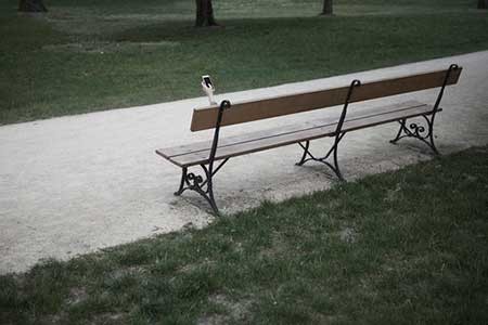 اخبار,اخبار گوناگون,گوشی های هوشمند