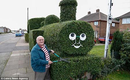 اخبار,اخبار گوناگون,آراستن خلاقانه بوته ها